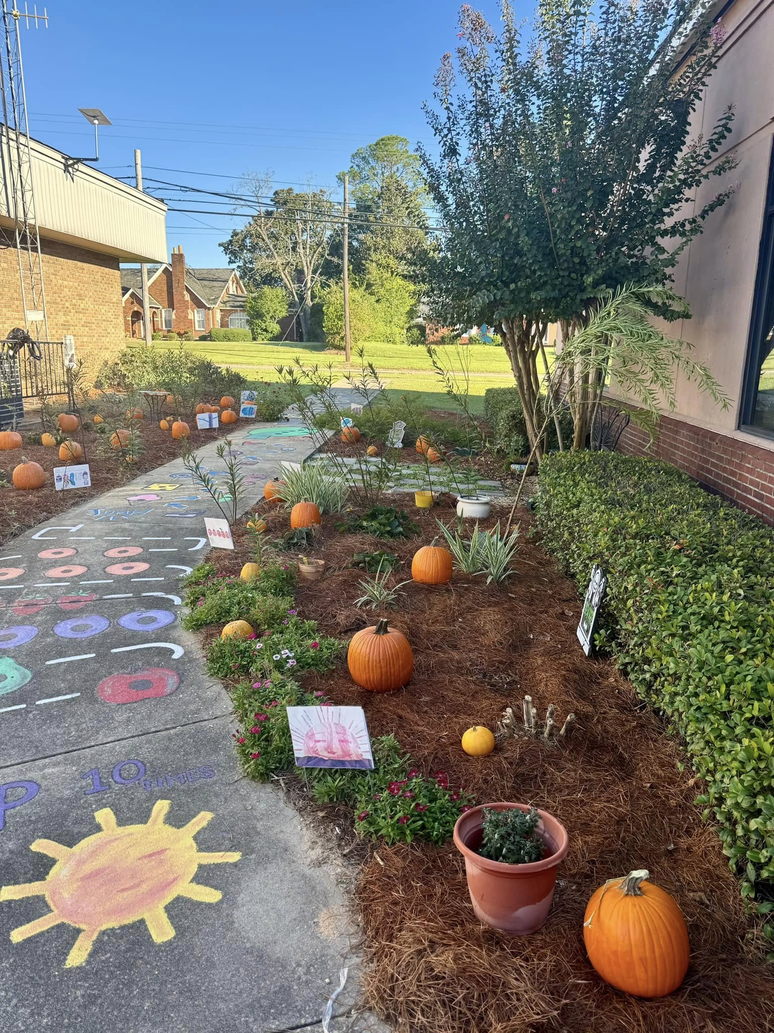 pumpkin painting